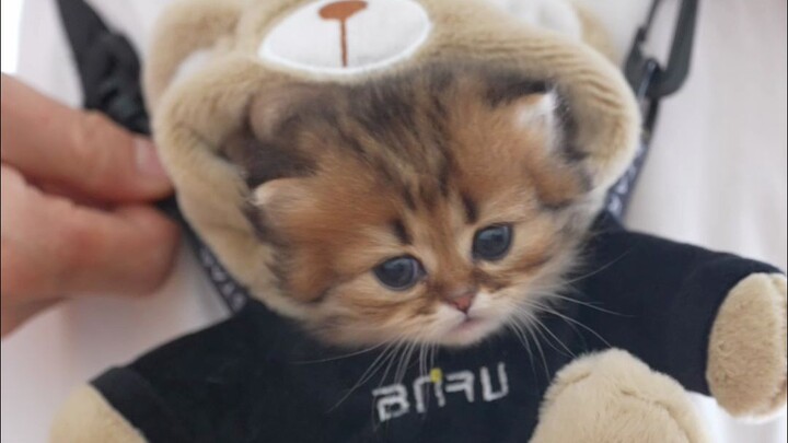 I’m hiding here—now you can’t steal it, right?!