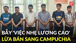 Hàng trăm người sập bẫy 'việc nhẹ lương cao', bị lừa bán sang Campuchia