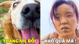 Đại Trang | MaMa Số Khổ, Thân Xác Hoang Tàn Khi Suốt Ngày Chịu Đựng Đại Trang 🤣 Gâu Đần Official