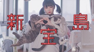 Bị Nhốt Trong Nhà Ở Vũ Hán, Nhảy Shin Takarajima