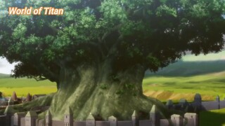 Black Clover (Short Ep 52) - Giới Thụ Ma Pháp #Blackclover