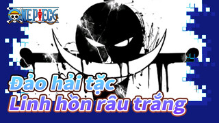 [Đảo hải tặc] Linh hồn râu trắng