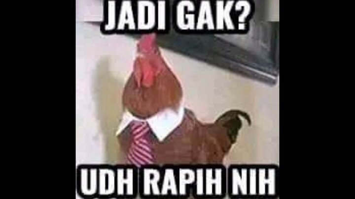 stiker 1