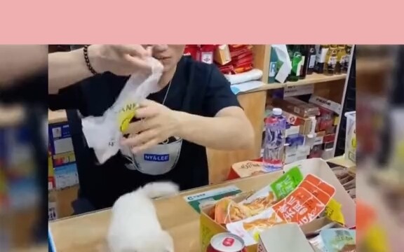 Ternyata memang tak ada yang bisa menolak anak anjing