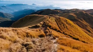 Dalan- Semi Rock Padli