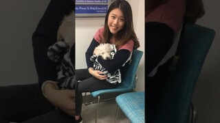Story of our Rescued Dog 🐶 #shorts #couple #relationship