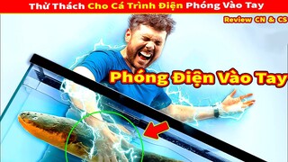 Vua Lì Đòn Thử Thách Cho Cá Chình Điện Phóng Vào Tay Và Cái Kết | Review Con Người Và Cuộc Sống