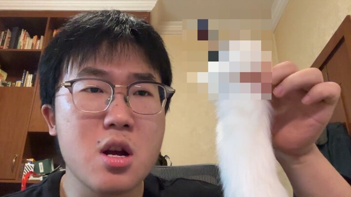 Siapa sih yang ngirimin "Ekor Chengdu" ini!