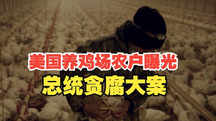 المزارع الدجاجية الأمريكية سيئة وقذرة، وكشف استغلال المزارعين عن فضيحة فساد كبرى