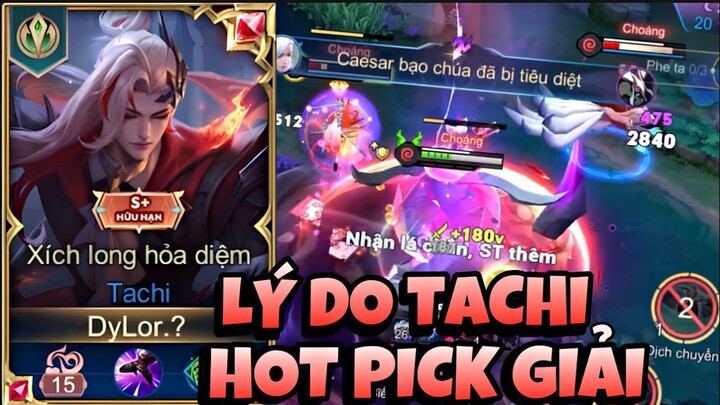 Lý Do Tachi Ít Người Chơi Trong Rank Nhưng Lại Là Hot Pick Trong Đấu Giải