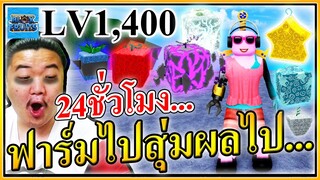 LV1400 ฟาร์มไปสุ่มผลปีศาจไป 24 ชั่วโมง - Blox Fruits 🍇