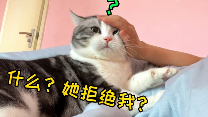 Cái gì mà mèo ép yêu thế này! Trước khi ngủ không vuốt ve thì cứ rúc vào người tôi hoài à?