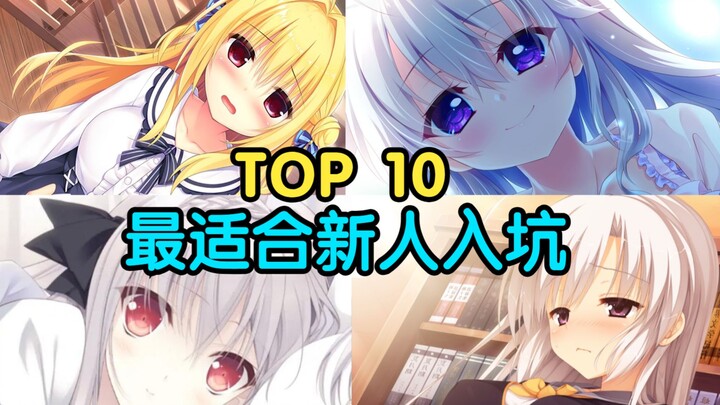 Totally awesome! Top 10 galgame recommendations for newcomers—must-play hidden gems!