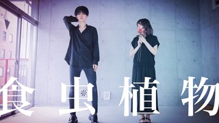 【定点&左右反転】食虫植物　踊ってみた【ぶっきー＆えてろ】原创振付