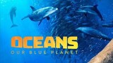 Film movie oceans(kehidupan dalam laut) sub indo