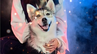 二朗神要是知道估计得气过去