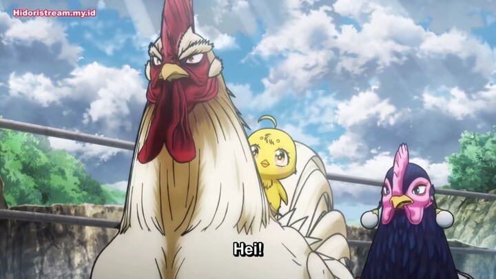 Eps_6 ayam pengembara petarung