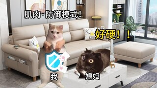【Meme kucing】Menggunakan otot untuk bertahan dari pelecehan istri, lalu ditolak