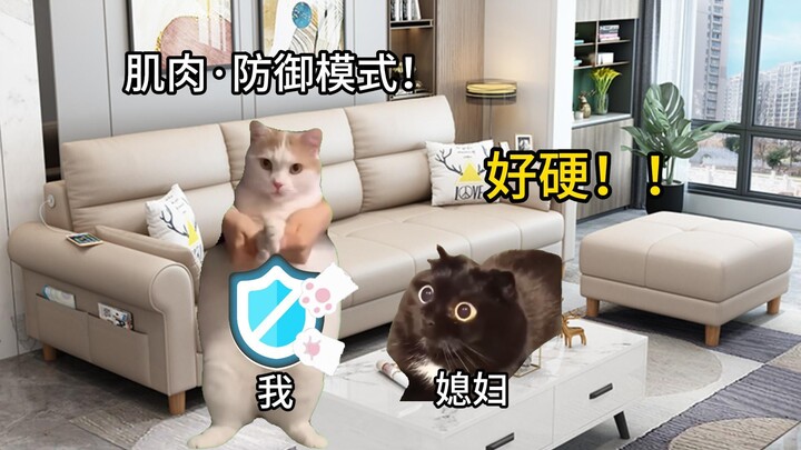 【Cat meme】Using muscles to defend against wife's harassment, and then being rejected