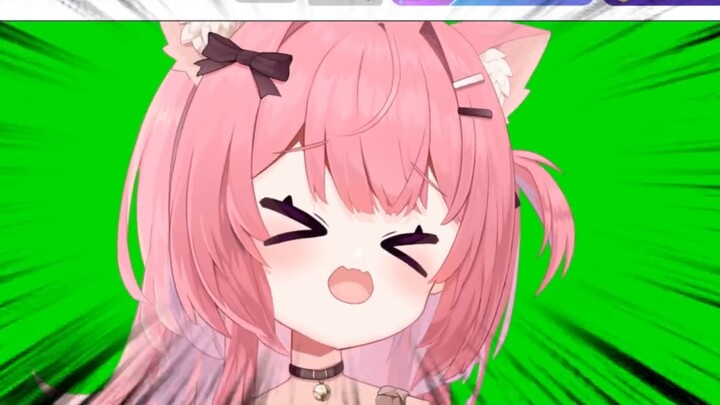 “แมวที่รู้วิธีเช็ด”