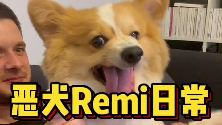 ระวังหมาดุ ห้ามคนแปลกหน้าเข้าใกล้!