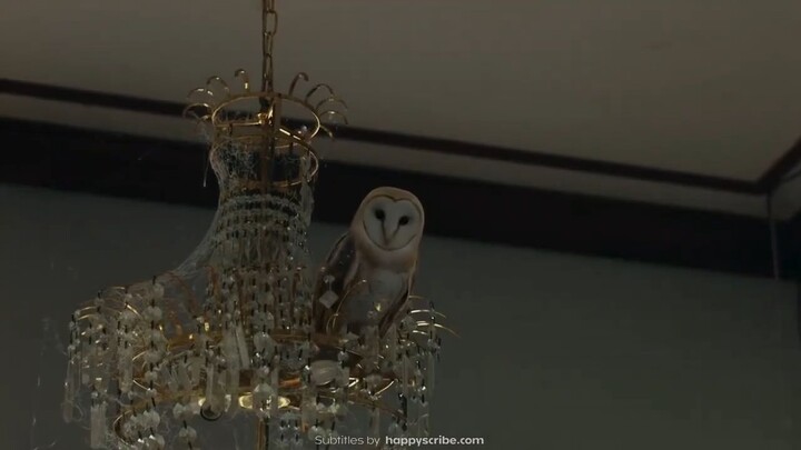 Runaway (2025) Episode 7 Eng Sub