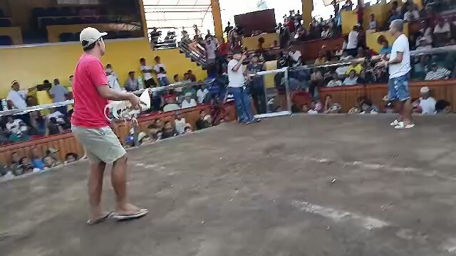 2 hits, 25 June 2026 2nd fight win 🏆 Sariaya Quezon