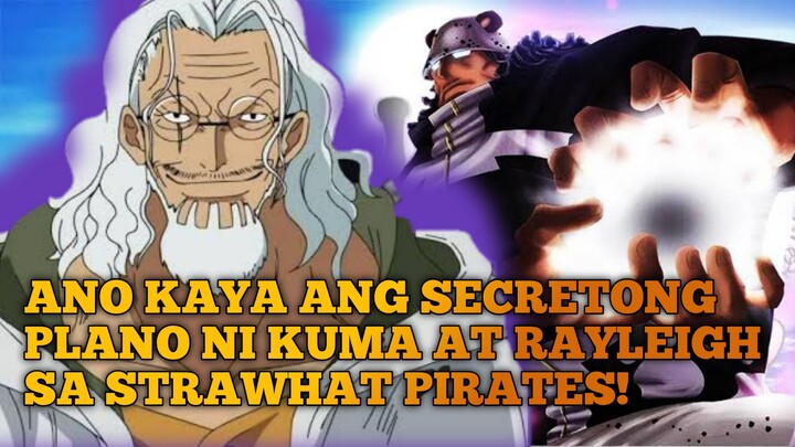 ANO KAYA ANG SECRETONG PLANO NI KUMA AT RAYLEIGH SA STRAWHAT PIRATES!