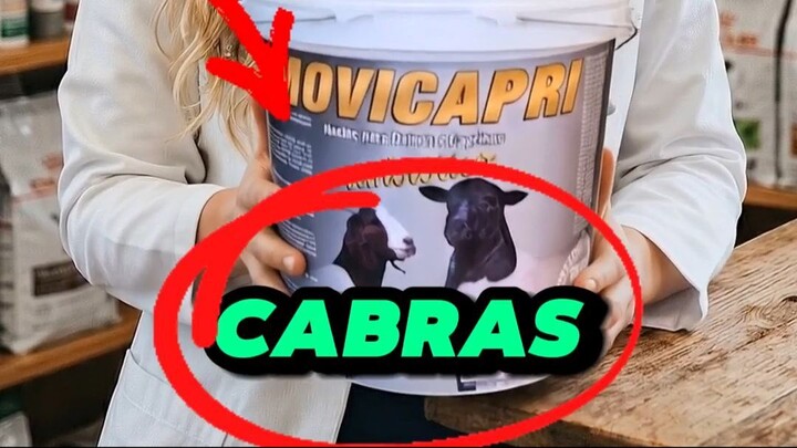 Movicapri Suplemento para Mistura Sal Ração - Carneiro Cabra Ovelha Ovino Caprino