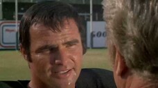 Stick this in trophy case