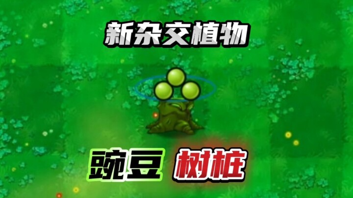 نبات هجين جديد: جذع شجرة البازلاء