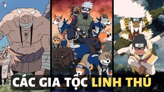 TỔNG HỢP CÁC GIA TỘC LINH THÚ TRONG NARUTO