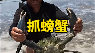 Làm thế nào để bắt được cua lớn một cách chính xác?