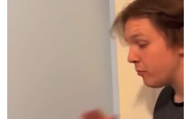 Mèo: Có phải tao cho mày mặt rồi không? #mèo #thú-cưng-dễ-thương