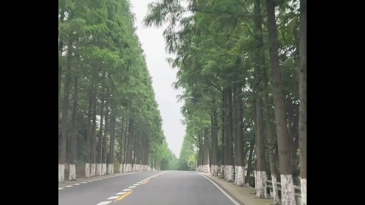 [Bai Lu] 20250628 Today's Bai Lu Scoop: One new update video from the Information Station