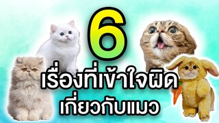 EP15 : 6 เรื่องที่เข้าใจผิดเกี่ยวกับแมว จะมีเรื่องอะไรบ้างนะ?