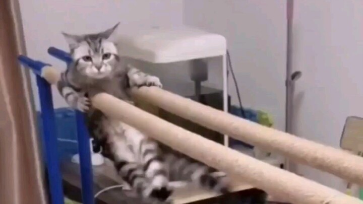 Asalkan rajin berolahraga, hidup pun akan menjadi indah!