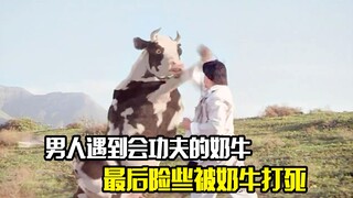 小伙刚出生就自带神功，连功夫奶牛都不是他对手，奇幻动作片