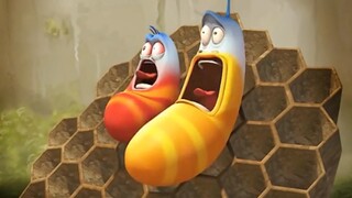 [Funny Bugs] Two bugs are determined to steal honey again, but they still can't escape the punishmen