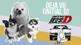 Deja Vu (Initial D) but it's Doggos and Gabe