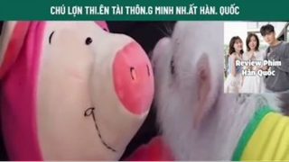 Con Lợn Thông Minh nhất #ReviewphimHan