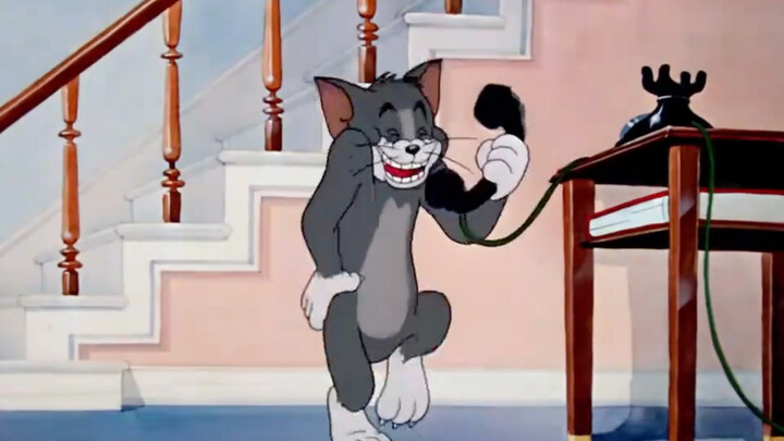 Tom can’t catch mice, so he calls in a professional team.
