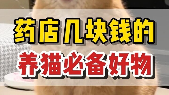 Barang perawatan kucing di apotek yang cuma beberapa rupiah, benar-benar sangat praktis!