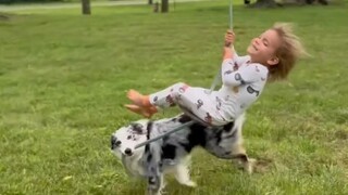 养娃的同时也养只汪🐶吧，也许还能帮你带娃~