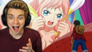 LUFFY MEETS THE MERMAID PRINCESS!! (One Piece Reaction)