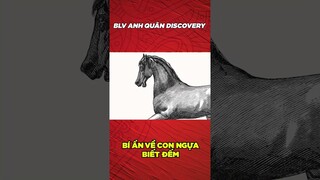 BÍ ẨN VỀ CON NGỰA BIẾT ĐẾM #shorts