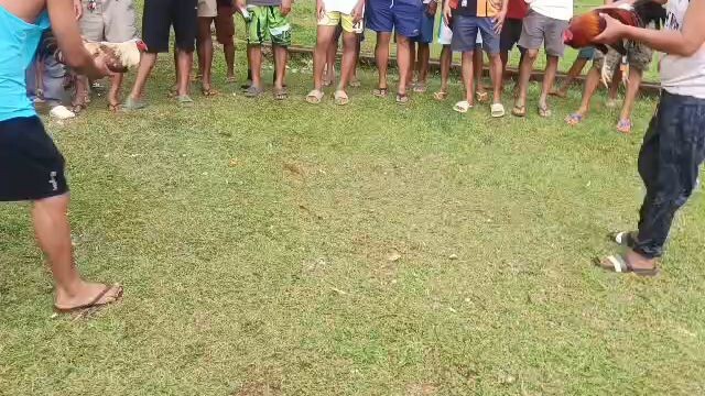 5th Fight (Win) Tagpuan