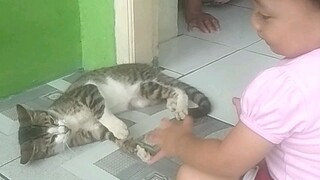 Zaskia main kucing