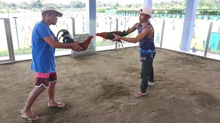 San Jose gamefarm "spar" 2025