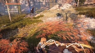 Horizon Zero Dawn